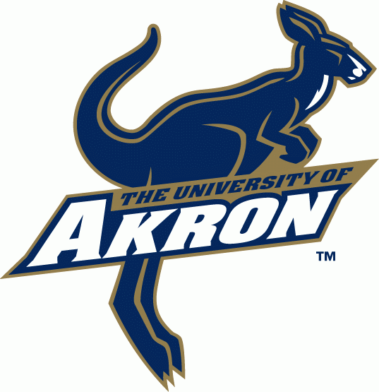 Akron Zips 2002-2007 Alternate Logo vinyl decal